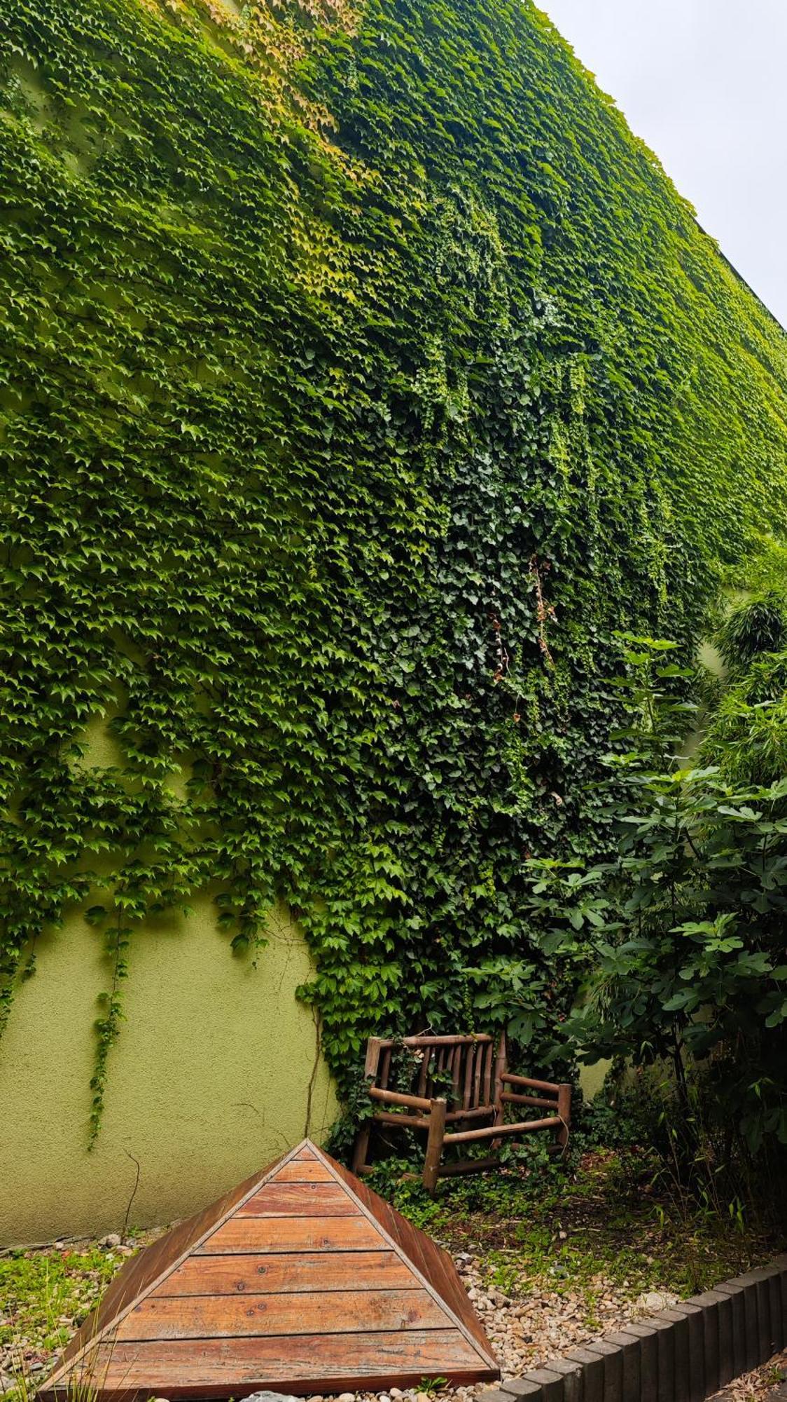 Vintage Room With Garden View Bratislava Eksteriør billede